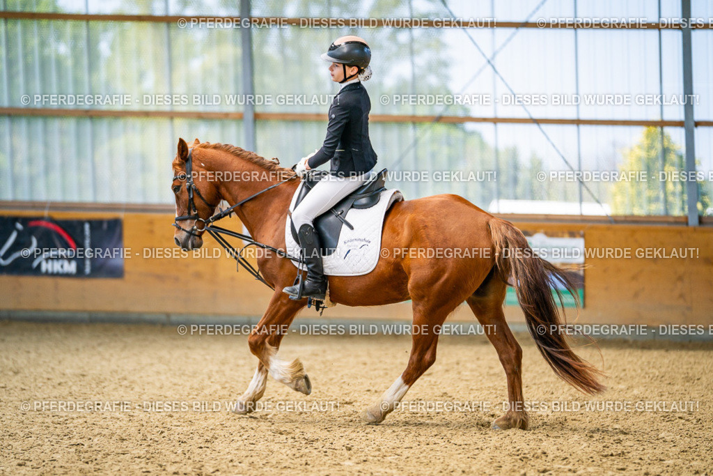 DSC02965 | Pferdegrafie