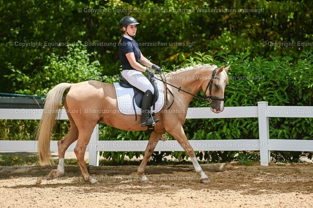 20230715_09_Dressur-WB_0542 | equistock