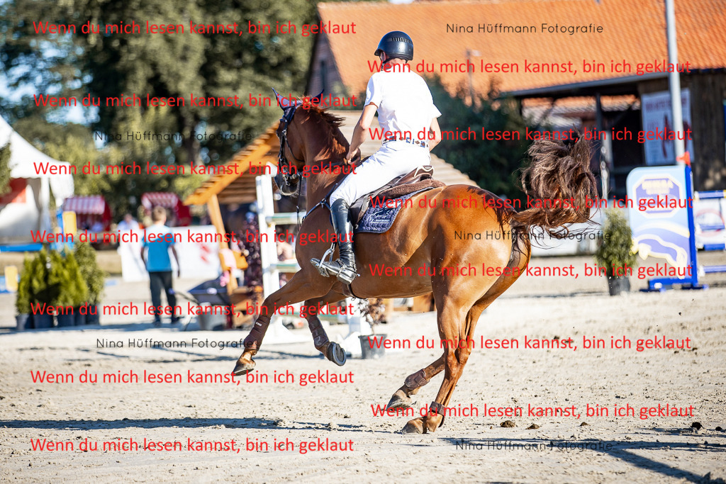 BK1A8264 | Turnierbilder Turnierfotos Nina Hüffmann Turnierfotografie Pferdefotografie Tierzeichnung Haustierzeichnung Pferdezeichnung Hundezeichnung Videograf  - Realisiert mit Pictrs.com