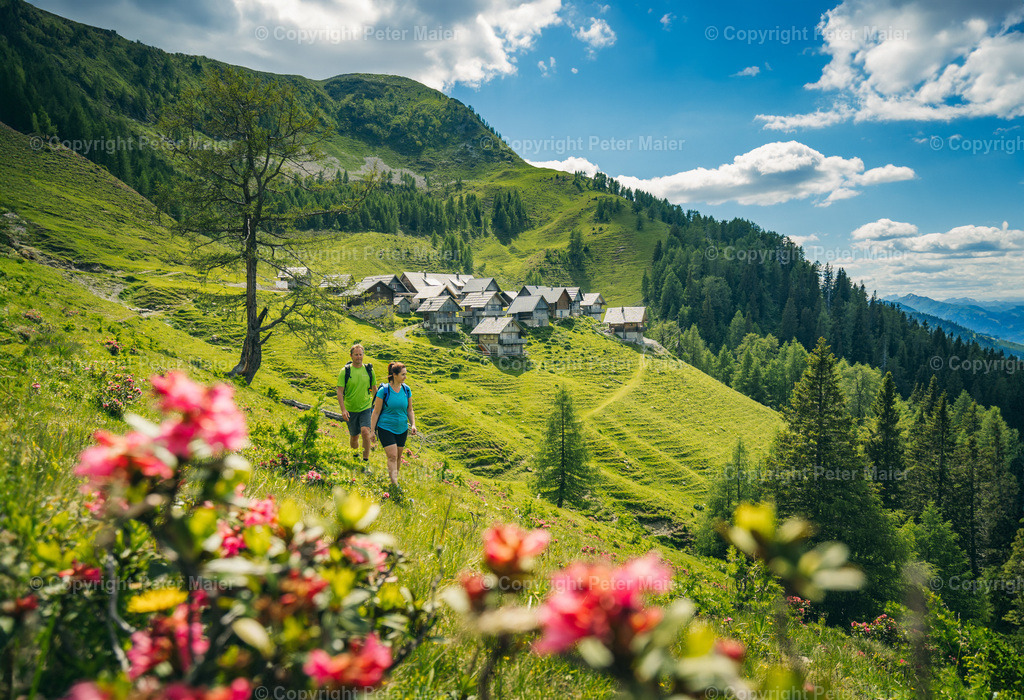 Wandern_Karnische_Milchstrasse_2020-372-Bearbeitet | piet_flosse