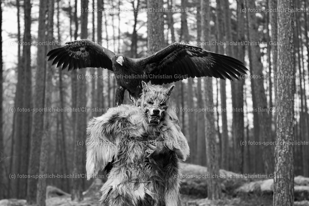 2X5A4330 | fotos-sportlich-belichtet - Realisiert mit Pictrs.com