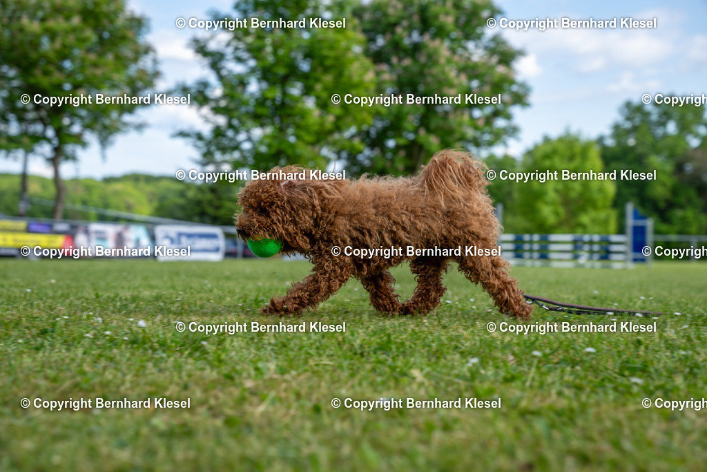 A1S04135 | foto-team-bernhard - Realisiert mit Pictrs.com