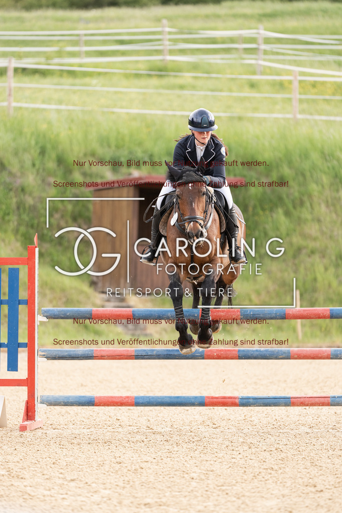 DSC00511 | Jugendturnier_Ehingen_Mai_2026, Anna_Bassani, Adonis_322