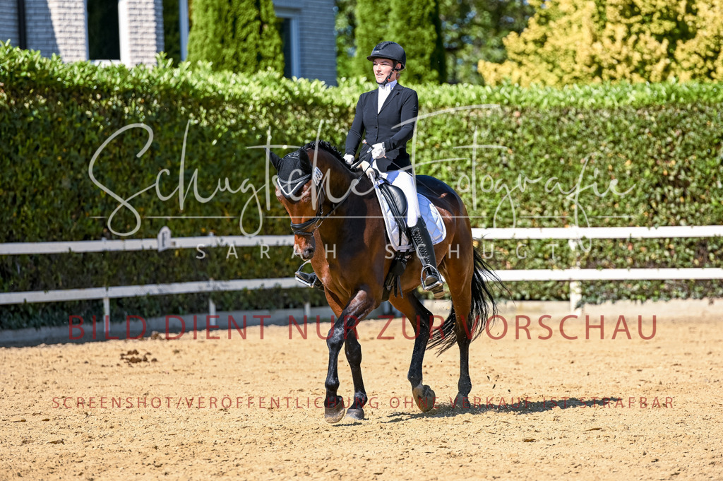 Schugtsche-Aluta25-50.Dressurpferdeprf.L-159 | Schugtsche Fotografie - Realisiert mit Pictrs.com