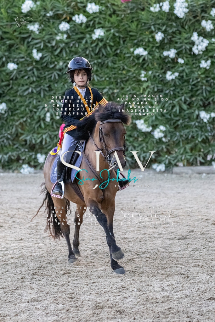 IMG_0235 | s-jay-photography - Realisiert mit Pictrs.com