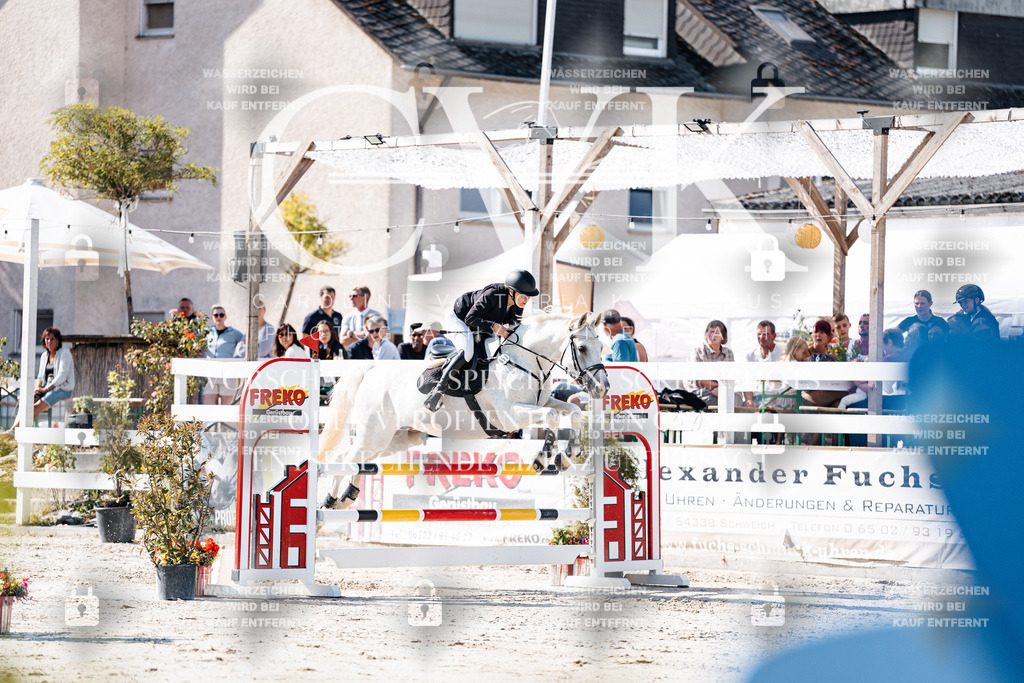 CK907662 | Turnierfotografie Pferdefotografie Trier Rheinland-Pfalz Pferdesport Reitsport Tierfotografie Sportfotografie Pferdevideo Pferdevideografie Equestrianvideography equestrianphotography  - Realisiert mit Pictrs.com