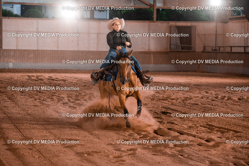 NE201455 | dv-media-shop - Realisiert mit Pictrs.com