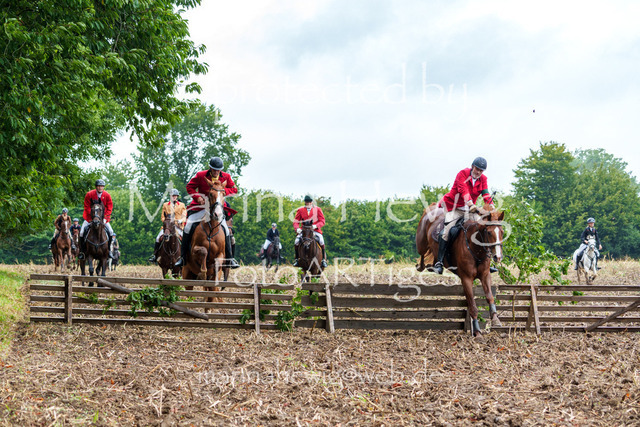 Jagd Kletkamp 26-03047_MarinaHewig | Fotografie, FotoArt, PferdesportArt, Pferdesportfotografie, Landschaftsfotografie, Reisefotografie, Reise, Pferde - Realisiert mit Pictrs.com