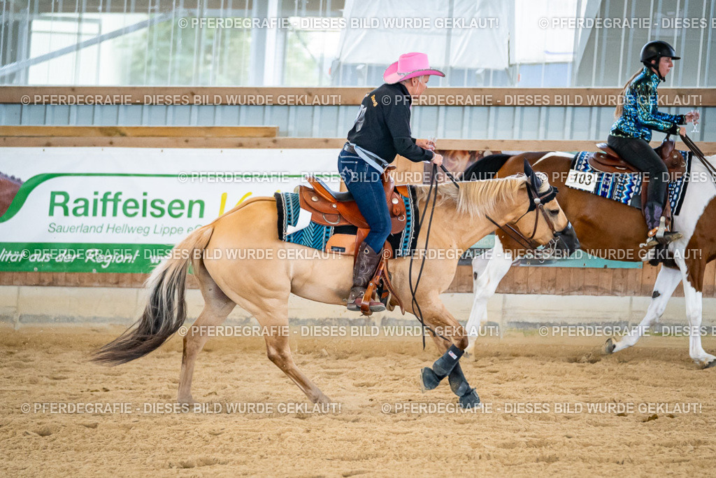 DSC09224 | Pferdegrafie