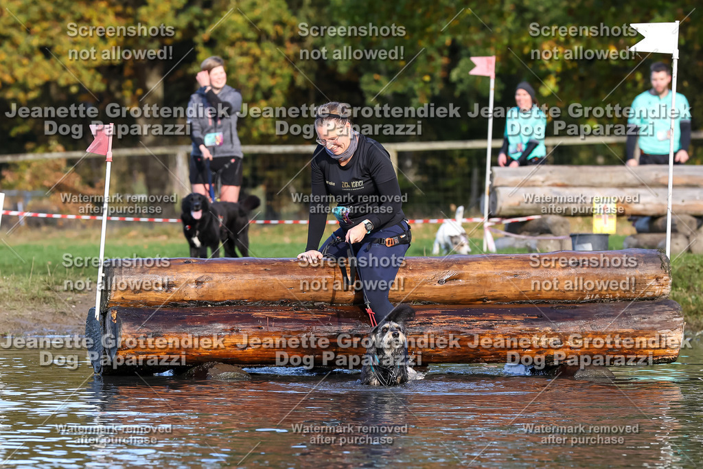 Dog Paparazzi - Strongdog 10-25-8604 | Dog Paparazzi Jeanette Grottendiek Fotografie & Videografie - Realisiert mit Pictrs.com