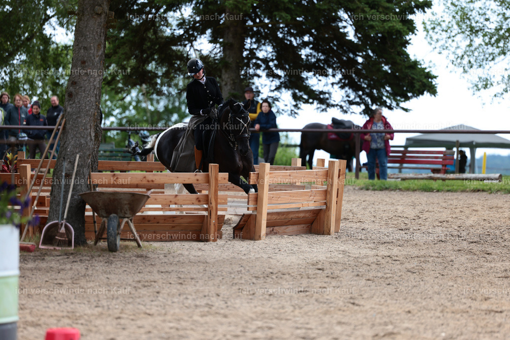 KlasseL_Stoibphotography_CAM23669.JPG | working equitationturnier fotograf videograf stoibphotography marixx film working equitation deutschland reitsport turnierfotografie eventfotografie equestrian events