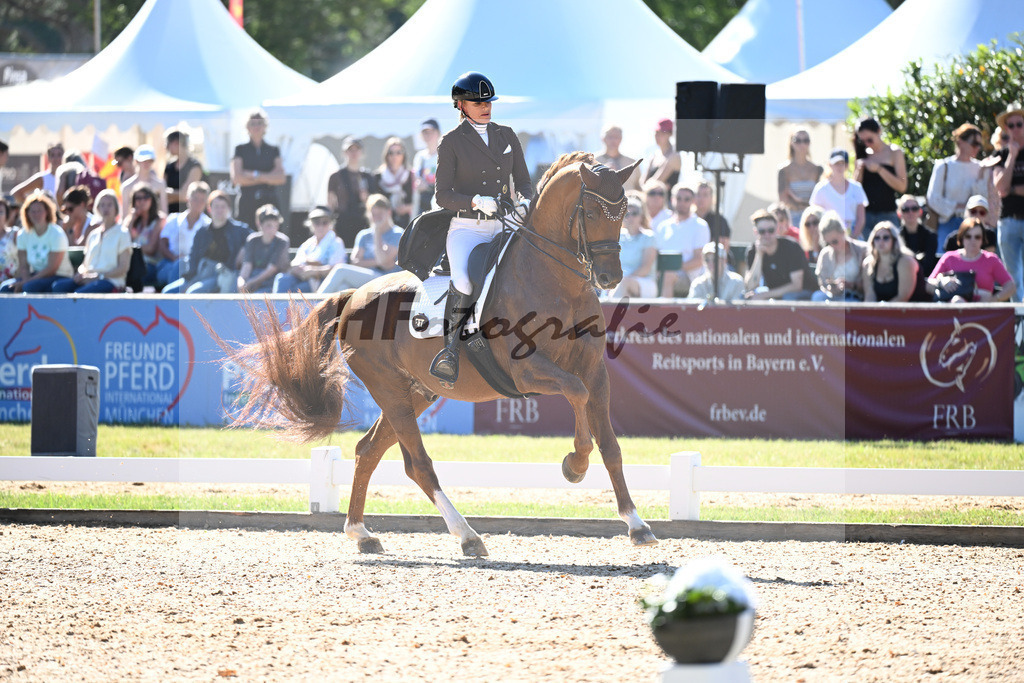 Reichert_Springbank II VH_11253839 | hf-fotografie - Realisiert mit Pictrs.com