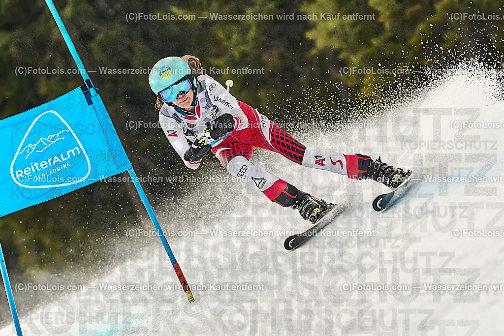 _WWO3926_MASTERS-WM_Reiteralm_CD-SG_DEBELLO Carmen | FISWORLD CHAMPIONSHIPSMASTERS ALPINE SKIING, 23. – 28. MÄRZ 2026 - REITERALM | STMK | AUT.   Veranstaltet vom Masters-Referat des Deutschen Skiverbandes (DSV). Durchführende Organisation: WSV Pichl-Reiteralm, unterstütutzt von den Bergbahnen REITERALM bei Schladming und SKI AUSTRIA.                            Disziplinen:  Super-G, GiantSlalom, Slalom.                                                 Kategorien:  A (Herrn 30-59 Jahre), B (Herrn ab 60 Jahre), C (Damen 30-59 Jahre), D (Damen ab 60 Jahre).                Rennstrecken:   Gasselhöhe und Muldenliftpiste auf der Reiteralm.