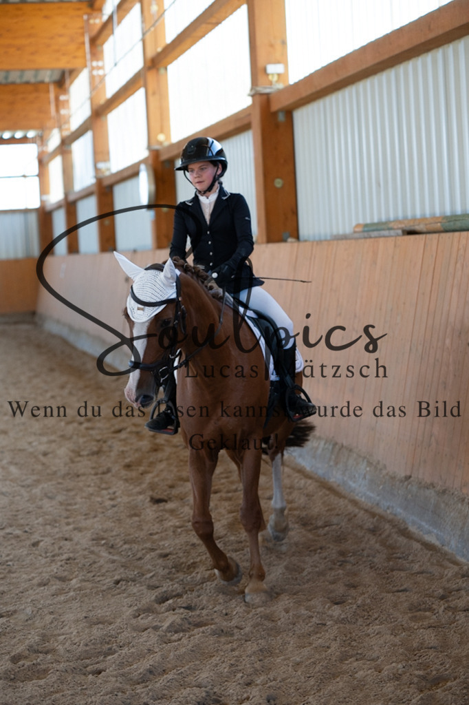 A7V01719 | Pferdefotograf