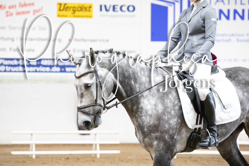 IMG_5899 | photographesa-joergens - Realisiert mit Pictrs.com