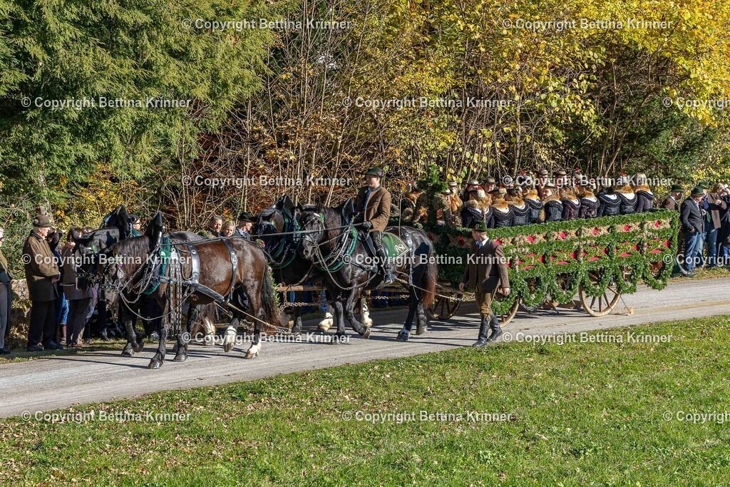 LBT25-714 | foto-bettina-krinner - Realisiert mit Pictrs.com