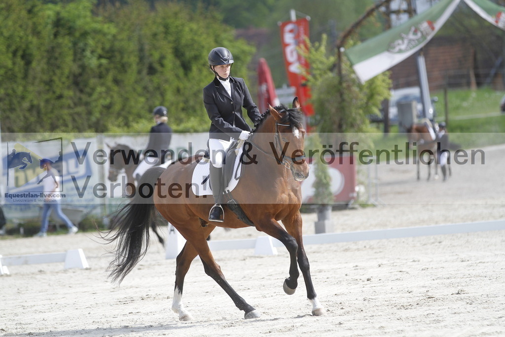 _MG_8246 | equestrian-live-com