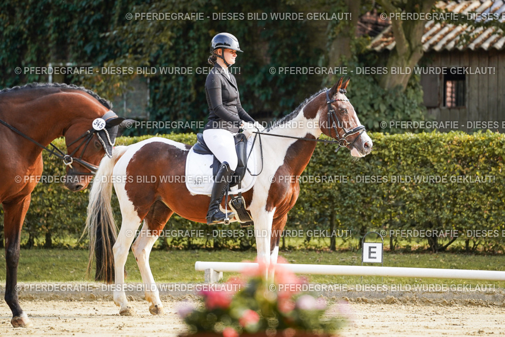 DSC05603 | Pferdegrafie