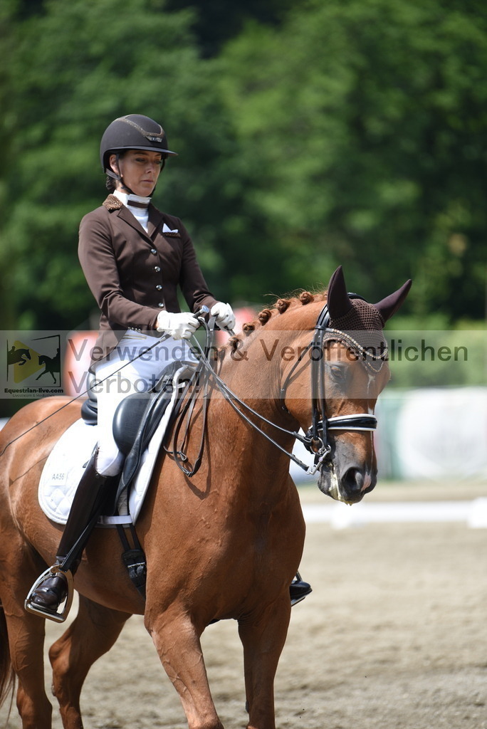 DSC_9238 | equestrian-live-com