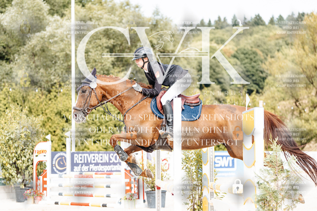 CK908873 | Turnierfotografie Pferdefotografie Trier Rheinland-Pfalz Pferdesport Reitsport Tierfotografie Sportfotografie Pferdevideo Pferdevideografie Equestrianvideography equestrianphotography  - Realisiert mit Pictrs.com