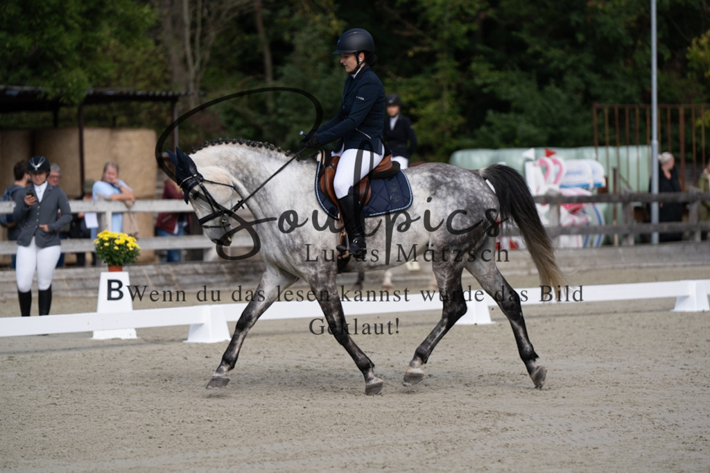A7V06834 | Turnier/Reitfotograf