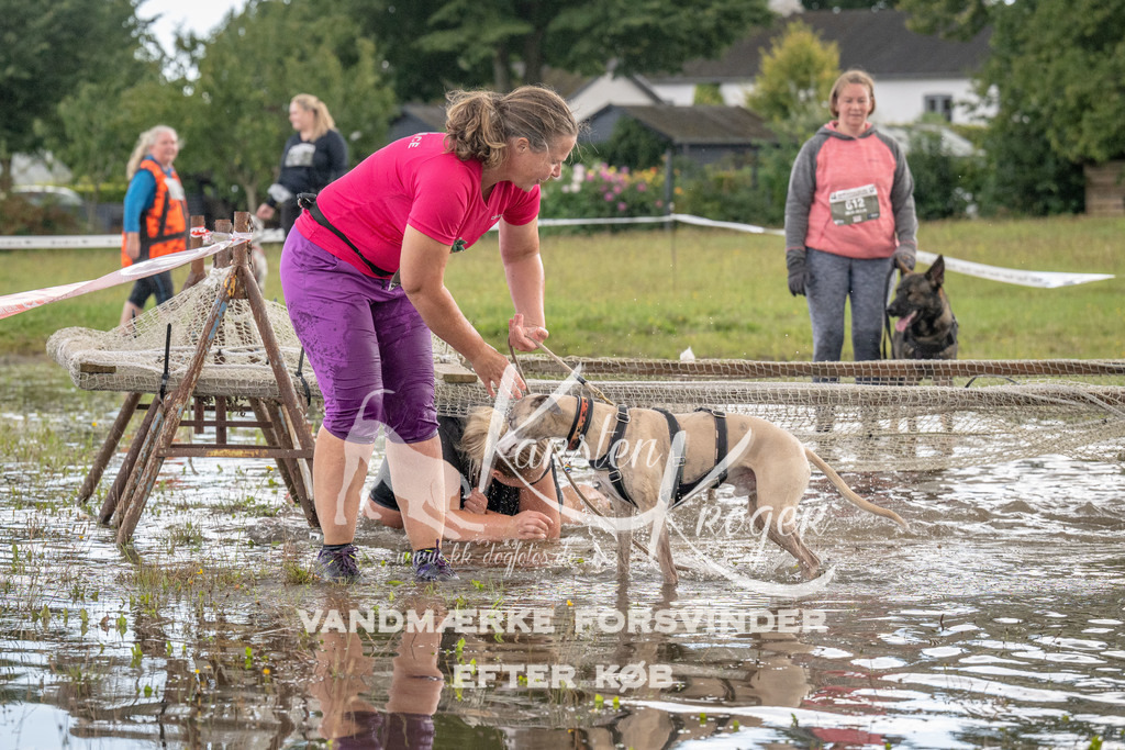 1459_ZZ90634 | kk-dogfotos