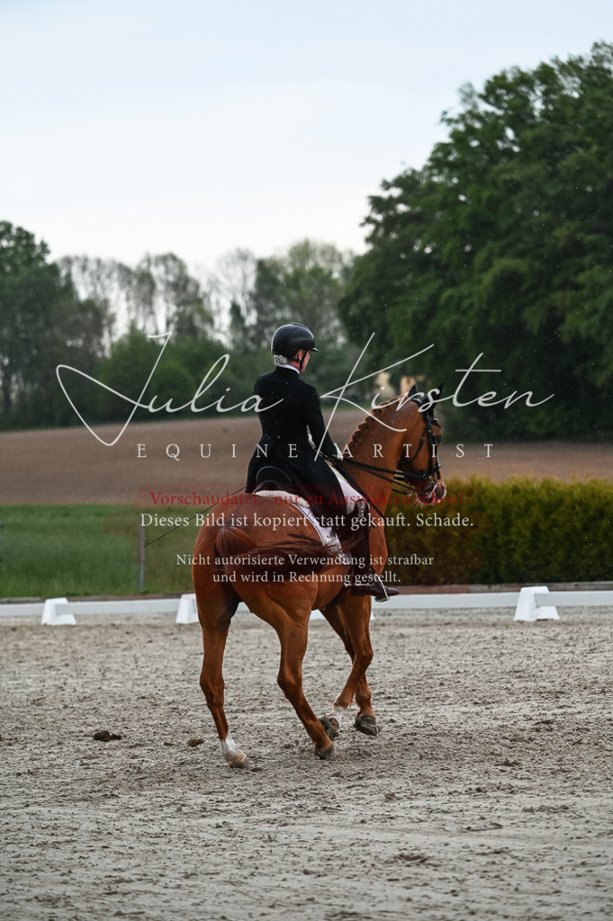 20230514_JK-Röhrsdorf-21-673 | Pferde- und Turnierfotografie in Westsachsen. Pferdeportraits, Auftragszeichnungen und intuitive Kunst.