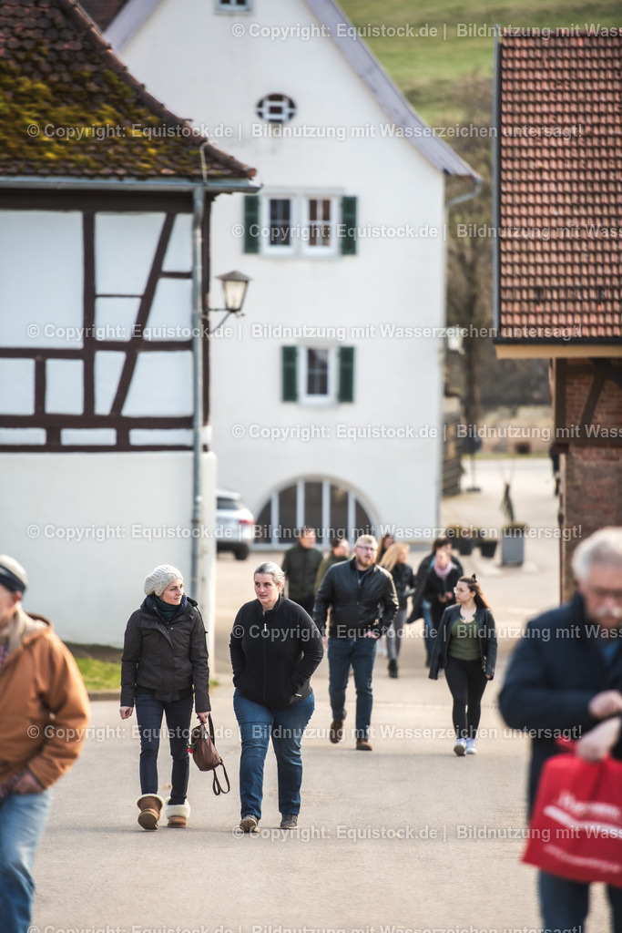 20240302_Hengstvorstellung_Marbach_TOMsPiC_0017 | equistock