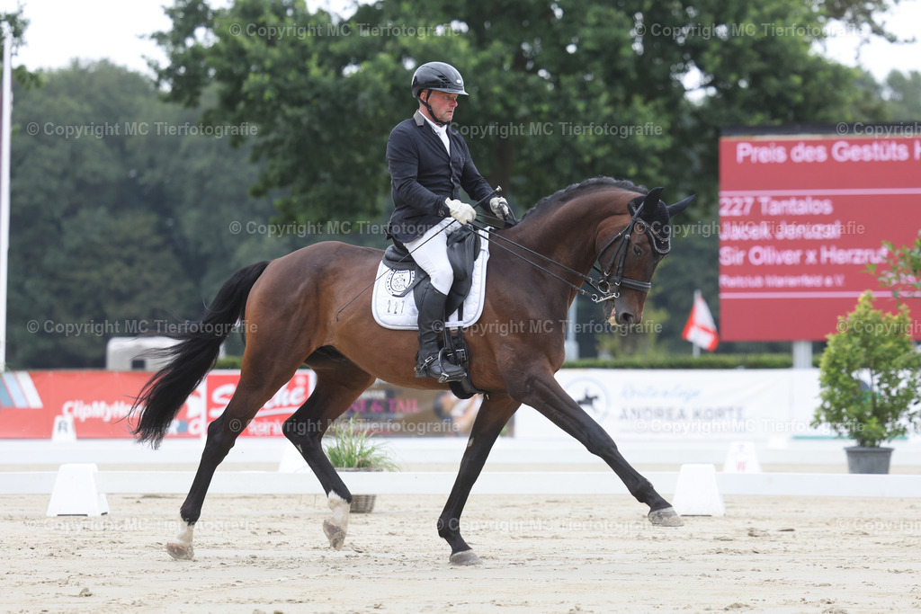 TrakBuTuMuenster16.-19.07.26MCTierf.9C8A2876B1 | Pferdefotos online bestellen - Realisiert mit Pictrs.com