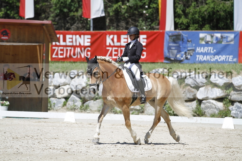 _MG_5041 | equestrian-live-com