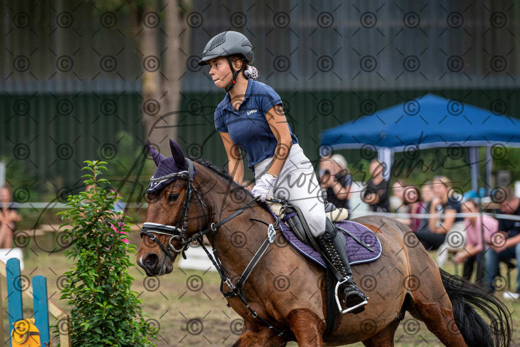 SHT_7718 | andre_photographic