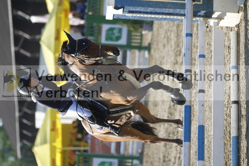 _MG_4172 | equestrian-live-com