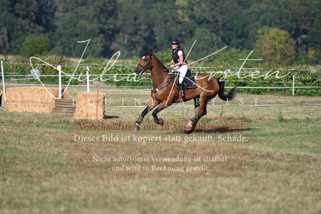 DSC_9033 | Pferde- und Turnierfotografie in Westsachsen. Pferdeportraits, Auftragszeichnungen und intuitive Kunst.