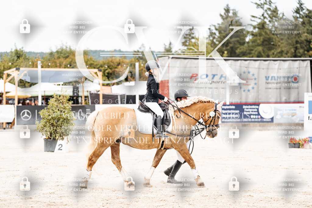CK907068 | Turnierfotografie Pferdefotografie Trier Rheinland-Pfalz Pferdesport Reitsport Tierfotografie Sportfotografie Pferdevideo Pferdevideografie Equestrianvideography equestrianphotography  - Realisiert mit Pictrs.com
