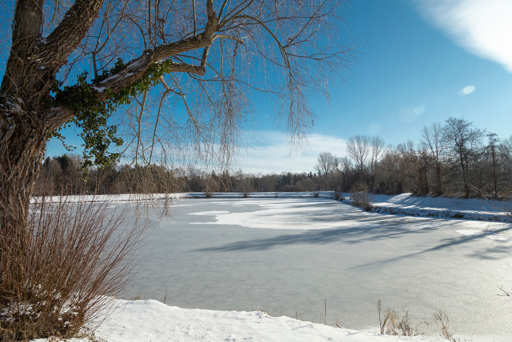 _ 3382_WINTER26_8296 | WInteraufnahmen Loosdorf 2026