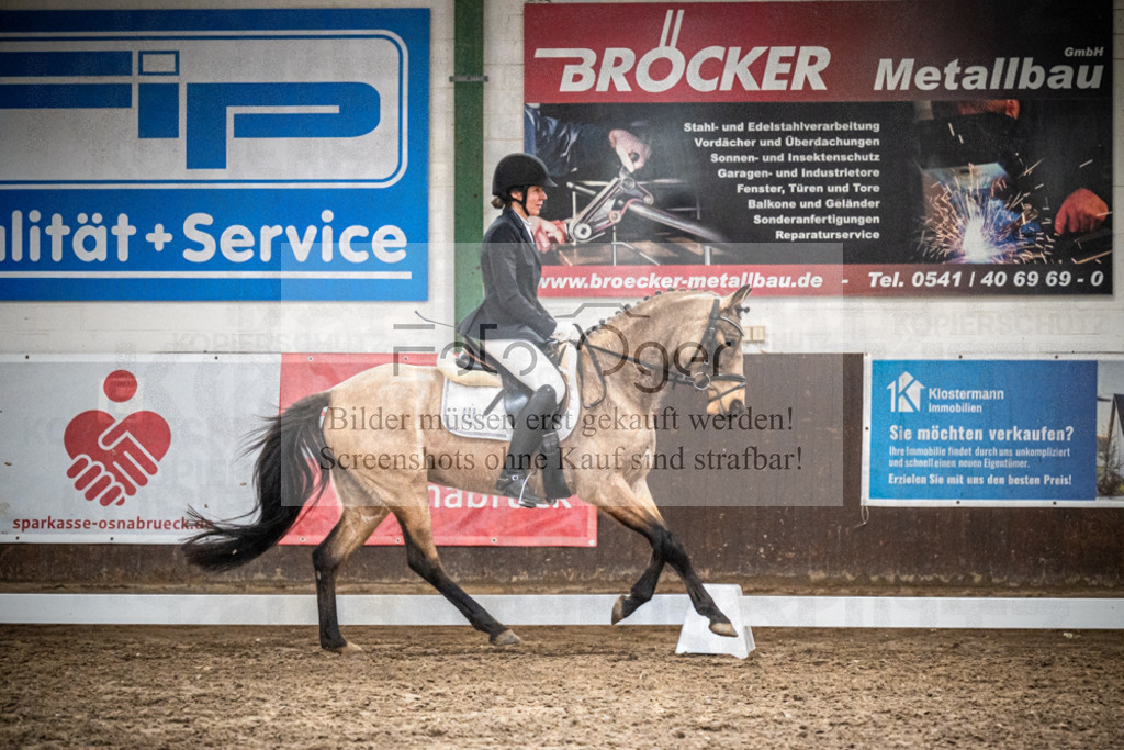 DOS_1308 | Entdecke hochwertige Reitturnierfotos von Foto Oger. Professionell, emotional und authentisch – jetzt Lieblingsmomente im Shop bestellen.Deutschlandweite Turnierfotografie. - Realisiert mit Pictrs.com