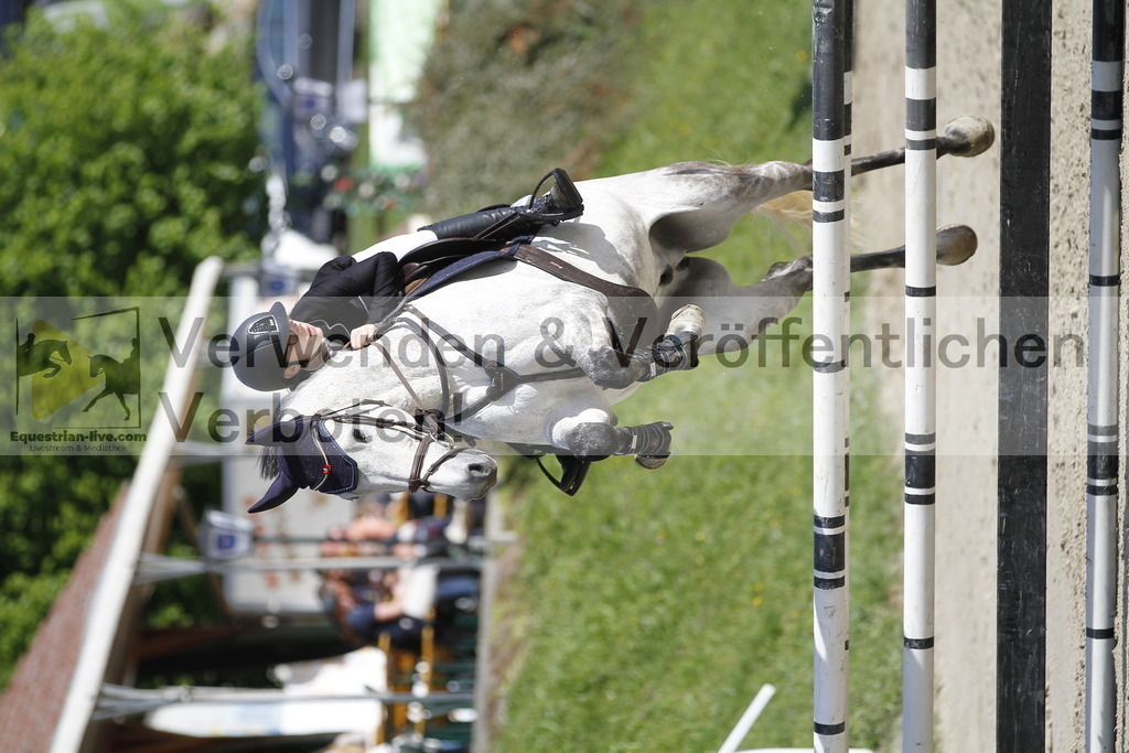 _MG_8476 | equestrian-live-com