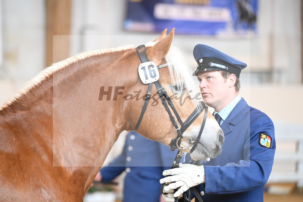 Kat-Nr. 16 v. Sturmdrang_HLG Schwaiganger_2230209 | hf-fotografie - Realisiert mit Pictrs.com