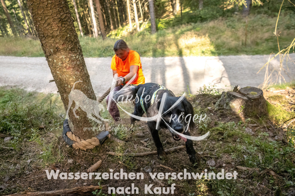 1039_ZZ92136 | kk-dogfotos