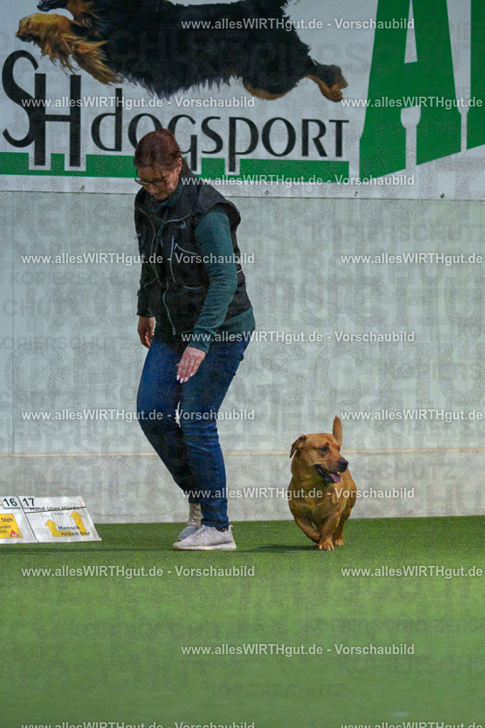 7R507182 | Professionelle Tierfotografie in Mönchengladbach von Daniel Wirth (allesWIRTHgut). Liebevolle & natürliche Bilder von Hunden & Katzen für unvergessliche Erinnerungen.