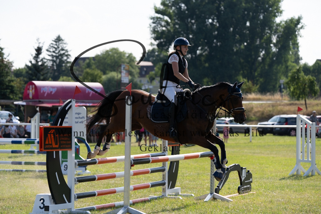 A7V00652 | Pferdefotograf