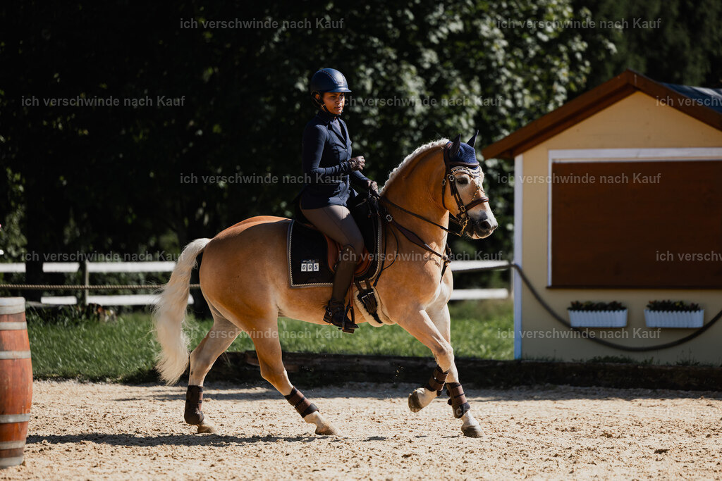Tanesha5FHC2025-27400 | working equitationturnier fotograf videograf stoibphotography marixx film working equitation deutschland reitsport turnierfotografie eventfotografie equestrian events