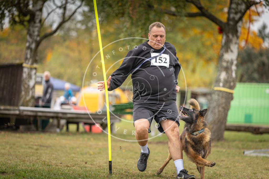 Pfotenfotografie_DV3A6176 | Hundefotografie, Tierfotograf, Pfotenfotografie, Fotoshooting Hund, Hunde Portrait, Hundesport, Hundeportraits, Heideshooting, Hunde, Sportfotograf, Hundefotograf, Turnierhundsport, THS,  - Realisiert mit Pictrs.com
