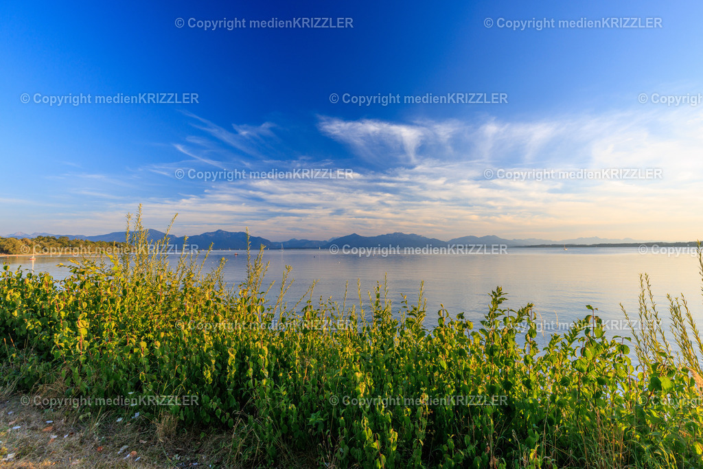 _J3A8433 | medienkrizzler - Realisiert mit Pictrs.com