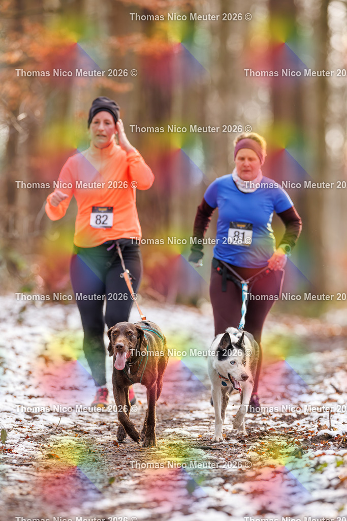 Thomas_Nico_Meuter(C)_223A9196 | Bild von Thomas Nico Meuter - Realisiert mit Pictrs.com