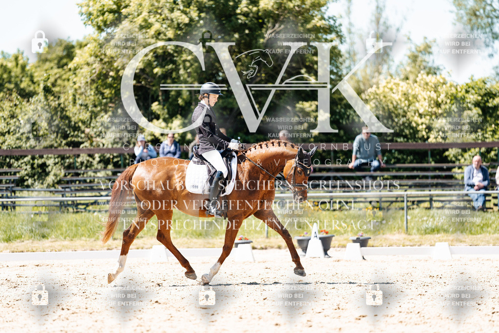 CK906004 | Turnierfotografie Pferdefotografie Trier Rheinland-Pfalz Pferdesport Reitsport Tierfotografie Sportfotografie Pferdevideo Pferdevideografie Equestrianvideography equestrianphotography  - Realisiert mit Pictrs.com
