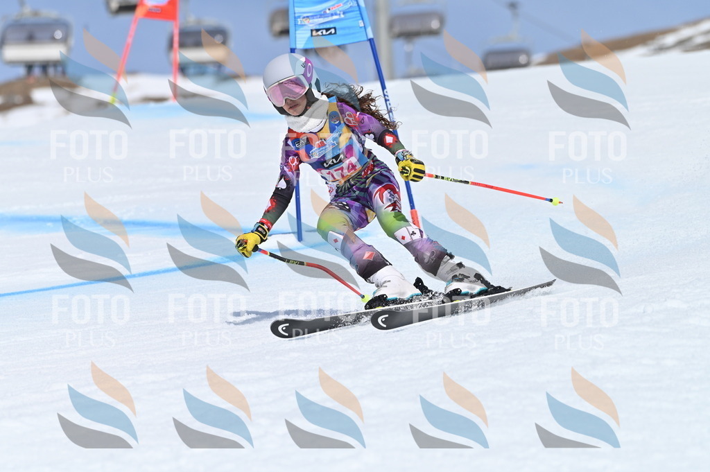 BGV_0511 | holidayphoto