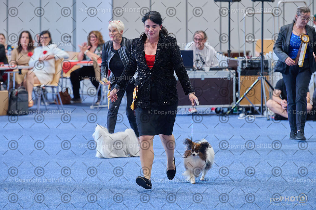 202406_ÖKV-IHA-Tulln24_DSC_4890 | proPHOTO - Realisiert mit Pictrs.com