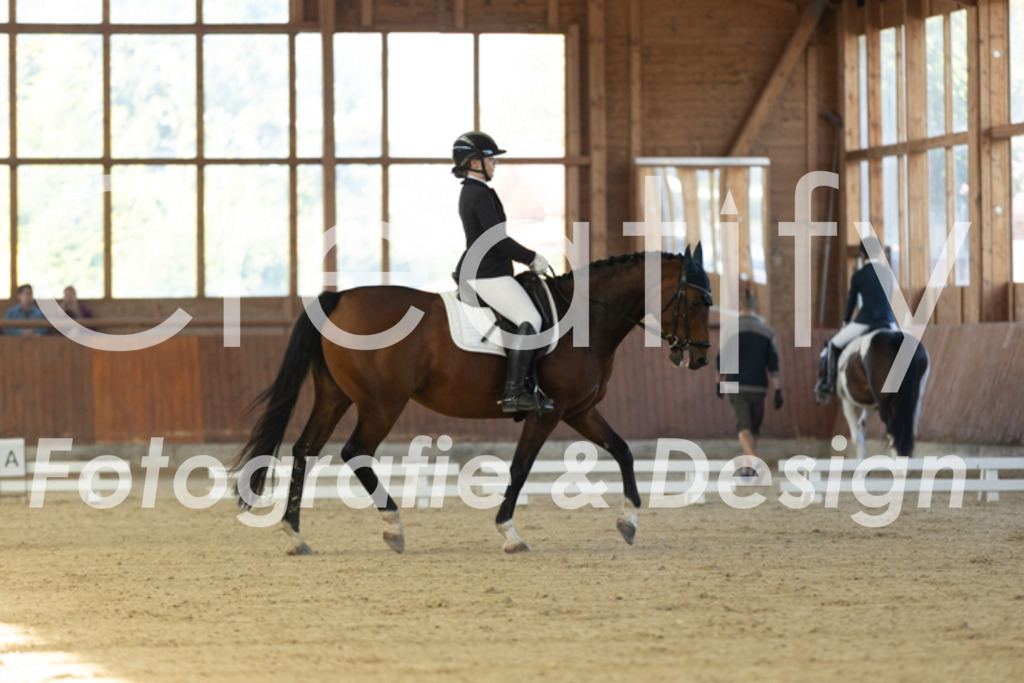 IMG_7948 | Creatify Fotografie