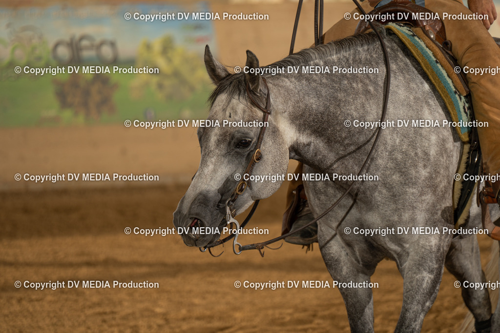 LAU01933 | dv-media-shop - Realisiert mit Pictrs.com